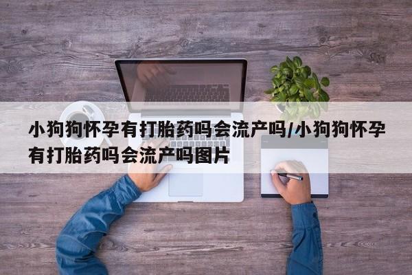 买流产药的联系方式小狗狗怀孕有打胎药吗会流产吗/小狗狗怀孕有打胎药吗会流产吗图片