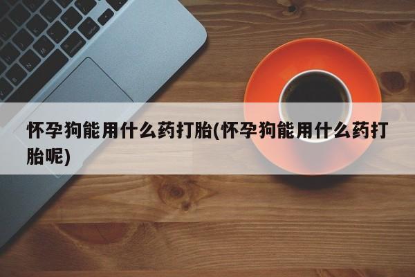 买流产药的联系方式怀孕狗能用什么药打胎(怀孕狗能用什么药打胎呢)
